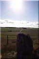 Rappla Standing Stone Aberdeenshire