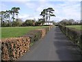 Farm at Brackenhill