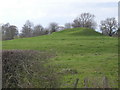 Belan Bank Motte & Bailey