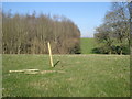 Footpath near Green Farm