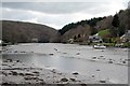 Low tide at Lerryn