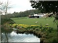 Dean Hill Farm from the Fish Pond