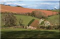 Barn, Blagdon