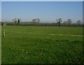 Village cricket pitch