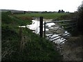 Gate to fields to the S of Pye Alley Lane