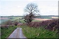 Down the Lane to Lerryn