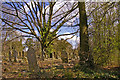 Brunswick Park Cemetery, London N11