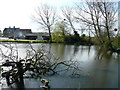 SO7612 : Pond at Manor Farm, Longney by Jonathan Billinger