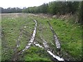 Muddy entrance to the field off Fox