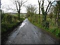 View along Denstroude Lane