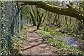 Avon Valley Path skirts Kingfisher Lake, Blashford