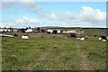 Rural East Cornwall Kit Hill is in the distance