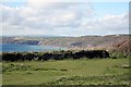 From Rame Head carpark