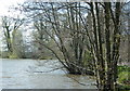 2008 : Stourton Lake