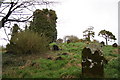 N3153 : Ruined church and graveyard by kevin higgins