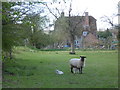 Stile Farm near Chilham