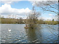 Looking across Chilham Lake from Chilham Nature Walk