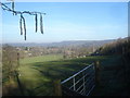 Farmland at Merryfields