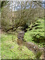 Stream near Moel y Gaer