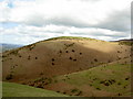 View of Moel y Gaer