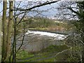 Weir on the Clyde at Blantyre