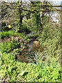 The stream at Trenarth bridge