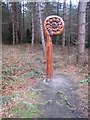 "Fern", Chopwell Wood