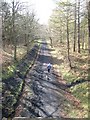 NZ1358 : Disused Chopwell and Garesfield Railway, Chopwell Wood by Oliver Dixon
