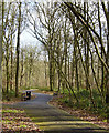 Binfields Woodland Park