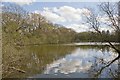 Hurst Pond, Blashford