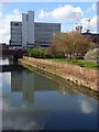 The River Kennet, Reading