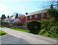 Cottages, Little Dene Lane