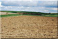 Ploughed field