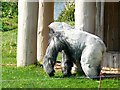 ST8143 : Nico the Gorilla, Gorilla Island, Longleat Safari Park, Wiltshire by Brian Robert Marshall