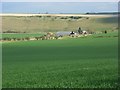 Farmland, Shalbourne