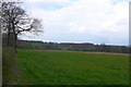 Farmland near Longburton