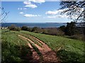 Looking towards Tor Bay from Preston Park