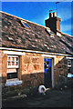 Footdee cottage plus 