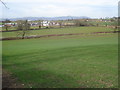 Grazing land near Smithmoor Common