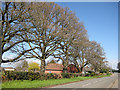 Village Hall, English Bicknor