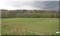 SE3316 : Pledwick Cricket Pitch - Barnsley Road by Betty Longbottom