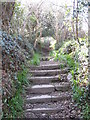 Steps leading up to Kenwyn cemetery from the Allen Valley