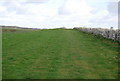 Path on the ridge above Encombe.