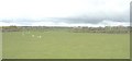 Pastureland at Nant Newydd Farm, Llangefni