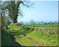 2008 : Bridleway at Pond Close Farm