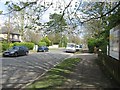 Looking down Glebe Road