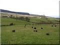 Ballycrum Townland