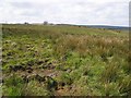 Boleran Townland