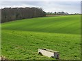 Farmland, Lane End