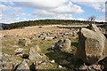 Boulder Field